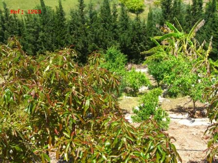 Villa en venta en Alhaurín de la Torre