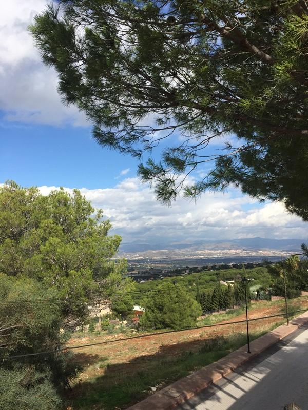 Villa en venta en Alhaurín de la Torre