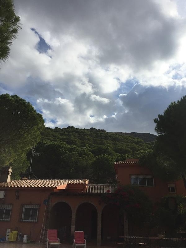 Villa en venta en Alhaurín de la Torre